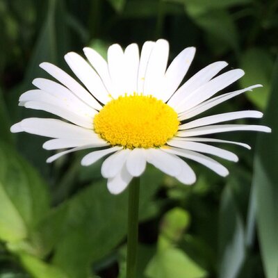 Profile Picture of Kathy Hales (@hales_kathy) on Twitter