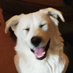 Profile Picture of jer-E-curl (@19vance75) on Instagram