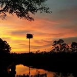 Profile Picture of Patsy Dobbs (@patsy.dobbs) on Instagram