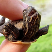 Profile Picture of Faith Roberts (@faithroberts1908) on Youtube