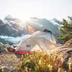 Nancy Wong - Instagram Profile Picture of Nancy Wong (@nancywong492) on Instagram