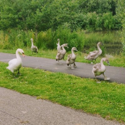 Profile Picture of Michael Abraha (@Michael37509821) on Twitter