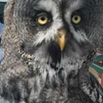 Profile Picture of David Coombe (@david.p.coombe) on Instagram