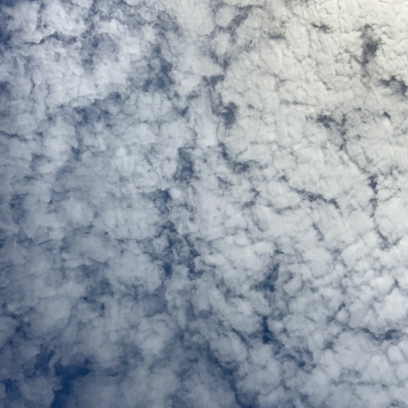 Profile Picture of Keylee Stellone (@keylee_stellone) on Poshmark