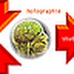 Profile Picture of Thomas-Rolf Bauer (@raumOptik) on Flickr