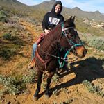 Profile Picture of Thomas Rouse (@thomas_rouse_69) on Instagram