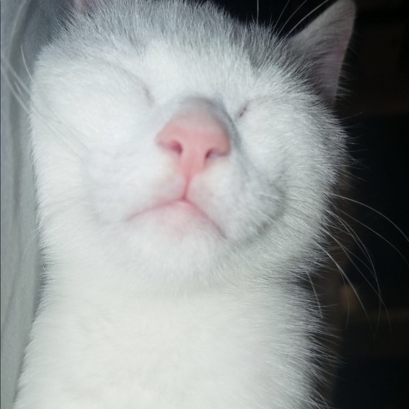 Profile Picture of Gandhi Dawud (@eyeslikesnow) on Poshmark