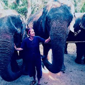 Profile Picture of Kami Webb (@kamiwebb147) on Youtube