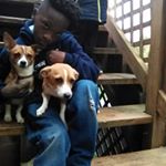 Profile Picture of ralphtanner (@lilralphtanner) on Instagram