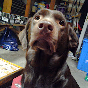 Profile Picture of Jason Wardle (@jasonwardle7535) on Youtube