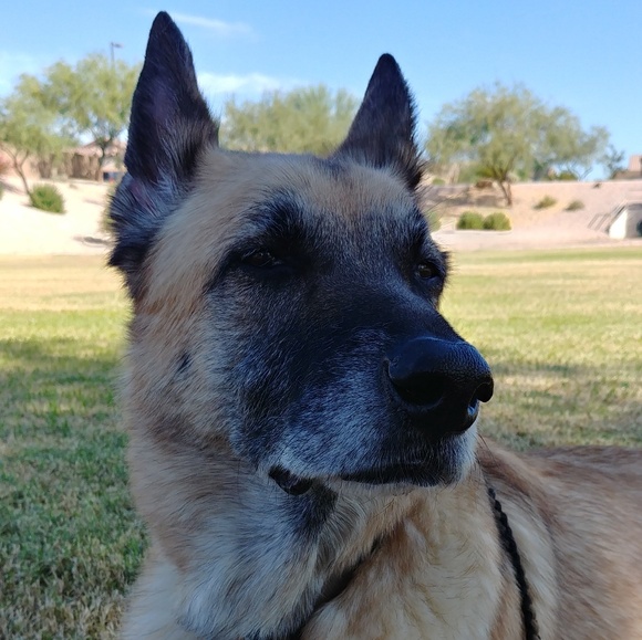 Profile Picture of Heather Soleymani (@hsoley13) on Poshmark