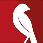 Profile Picture of Robin Marketing Group (@robinmarketinggroup) on Instagram