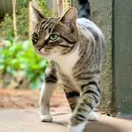 Profile Picture of Debra Stastny (@debra.stastny) on Facebook