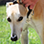 Profile Picture of Jake Cannon (@JCann0n) on Flickr