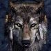 Profile Picture of Doug Cofer (@doug.cofer.96) on Facebook