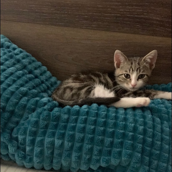 Dunia Lazo - Poshmark Profile Picture of Dunia Lazo (@dunialazo) on Poshmark