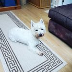 Profile Picture of John Kelsey C (@kelseyjkc) on Instagram