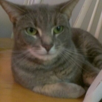 Profile Picture of Martin McCowan (@martin_rambles) on Twitter