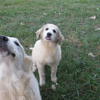 Profile Picture of Alison Ackerman (Alison Ackerman) (@alison.h.ackerman) on Facebook