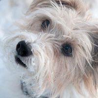 Profile Picture of Sherry Engel (@sherry-engel-5) on Quora