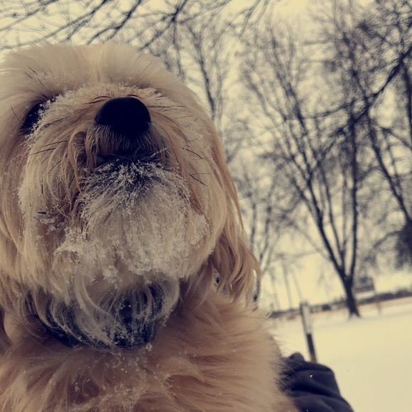 Profile Picture of Brianna Gonnering (@bri0000) on Poshmark