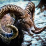 Profile Picture of Keith Held (@heldkeith) on Instagram