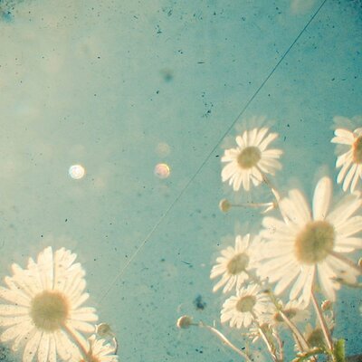 Profile Picture of Emely Rivera (@22_emelyrivera) on Twitter