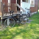 Profile Picture of Mark Darcey (@mark.darcey) on Instagram