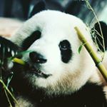 Profile Picture of Jacob alexander Corral (@jacobthefence_) on Instagram