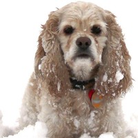 Profile Picture of Mori Kobow (@mori-kobow) on Quora