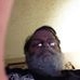 Profile Picture of Ed Mclaughlin (@ed.mclaughlin.12) on Facebook