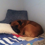 Profile Picture of Nick Rivera (@nickrivera3) on Flickr