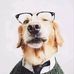 Profile Picture of Wert David (@wert.david.3) on Facebook