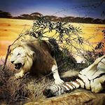 Profile Picture of Patrick Mcdowell (@_notemcdowell_) on Instagram