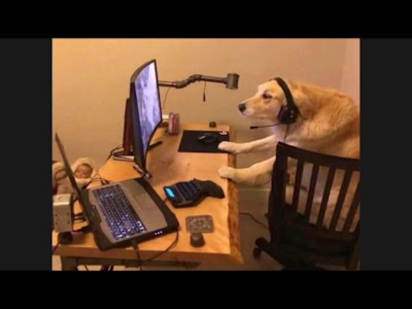 Profile Picture of Faris Al hajjar (@farisalhajjar) on Poshmark