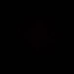 Profile Picture of LEO rustem (@leo_rustem) on Instagram