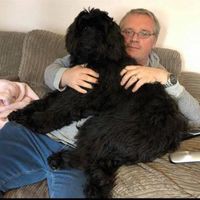 Profile Picture of Christopher Buckley (@christopher-buckley-68) on Quora