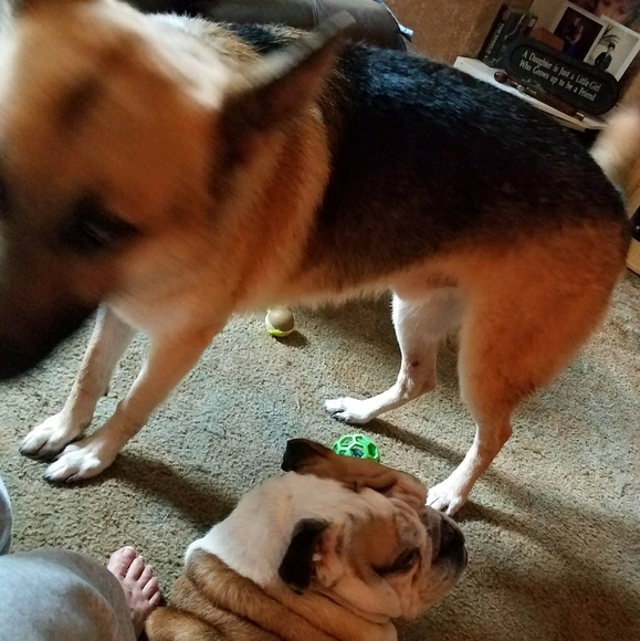 Candy Chapman - Poshmark Profile Picture of Candy Chapman (@chappy1991) on Poshmark