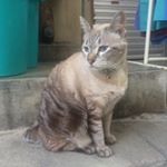 Profile Picture of Jimmy (@jimmy.lieng) on Instagram