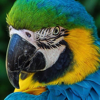 Profile Picture of Roland Schulz (@schuwa1958) on Twitter