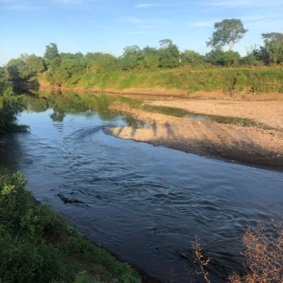 Profile Picture of Ada Granados (@@adagranados77) on Twitter