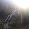 Profile Picture of Jesse Doolin (@jesse.doolin.9) on Facebook