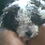 Profile Picture of Jeffrey Lopez (@jef94lopez) on Flickr