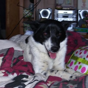 Profile Picture of J Tarpley (@377582665) on Myspace