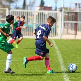 Fran_barone - Twitter Profile Picture of Fran_barone (@Franbarone4) on Twitter