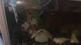 Profile Picture of   갑자기 왜 그래..어제까지만 해도 잘 놀고... (@soomin_1) on Tiktok