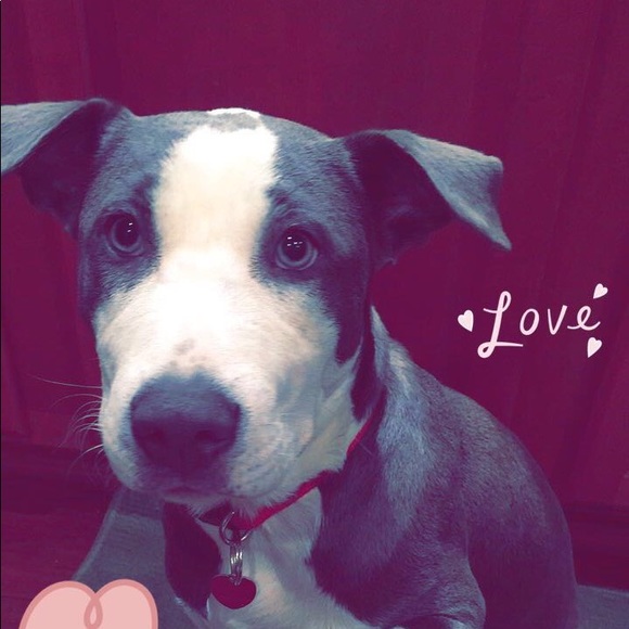 Profile Picture of Robert Shaw (@robertshaw212) on Poshmark