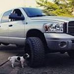 Profile Picture of Chris Berrong (@berrongchris) on Instagram