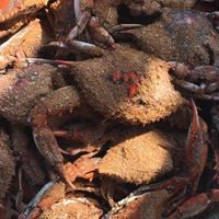 Profile Picture of Thomas Kaylor (@thomas-kaylor-1) on Quora