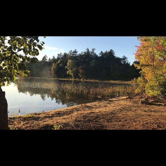 Profile Picture of Alexis Neilson (@alexisneilson17) on Poshmark